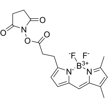 BODIPY-FL NHS ester