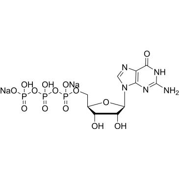 Guanosine-5'-triphosphate disodium salt